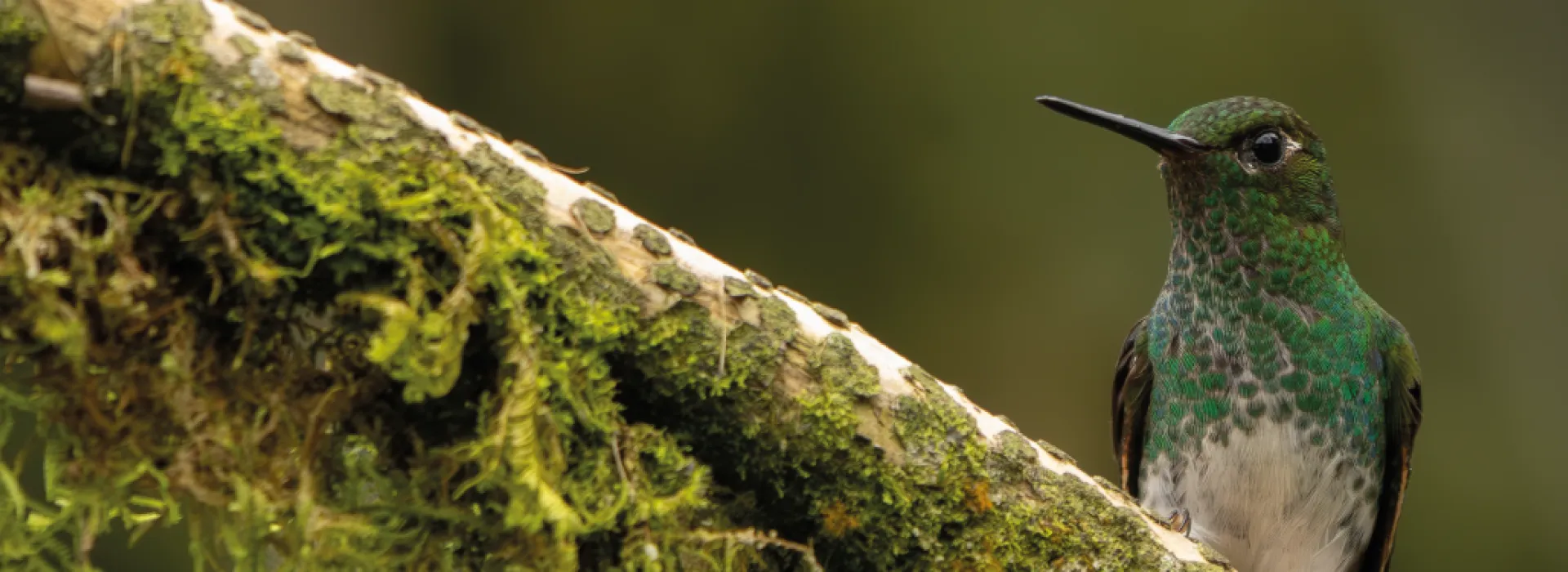 ¿Cuánto vale nuestra biodiversidad?