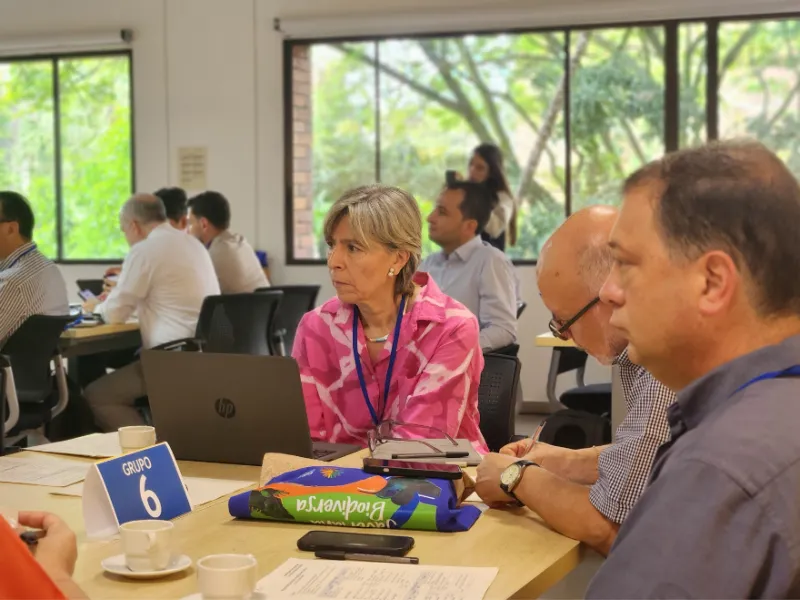 Planeación conjunta