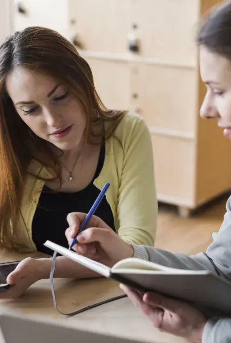 Tutorías doctorales Tutorías doctorales